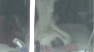 وقحة الجار مع كبير الثدي مقاطع ميا خليفه الاباحيه يحب ابتلاع قضيبي
